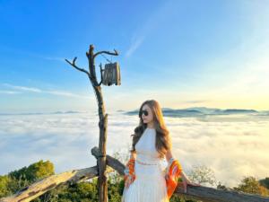 Tour săn mây Đà Lạt