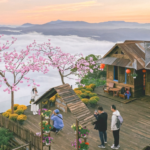 Tour săn mây Đà Lạt