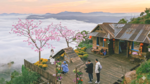 Tour săn mây Đà Lạt