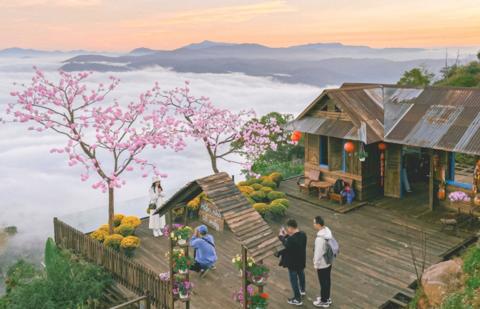 Tour săn mây Đà Lạt