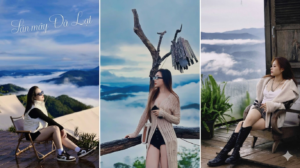 Tour săn mây Đà Lạt