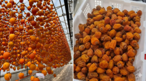 Tour săn mây Đà Lạt